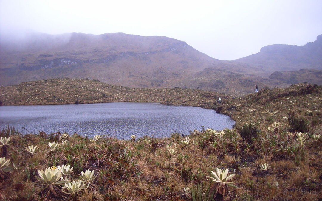 Senadores insisten en defender agua como derecho fundamental