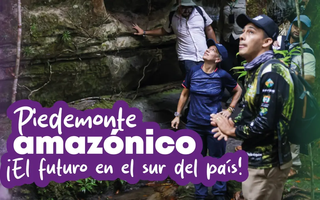 Piedemonte Amazónico