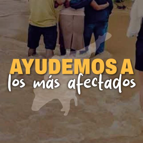 La tragedia de Córdoba y el Caribe: Entre la negligencia estatal de la UNGRD y el saqueo sistemático de los recursos para la atención de desastres